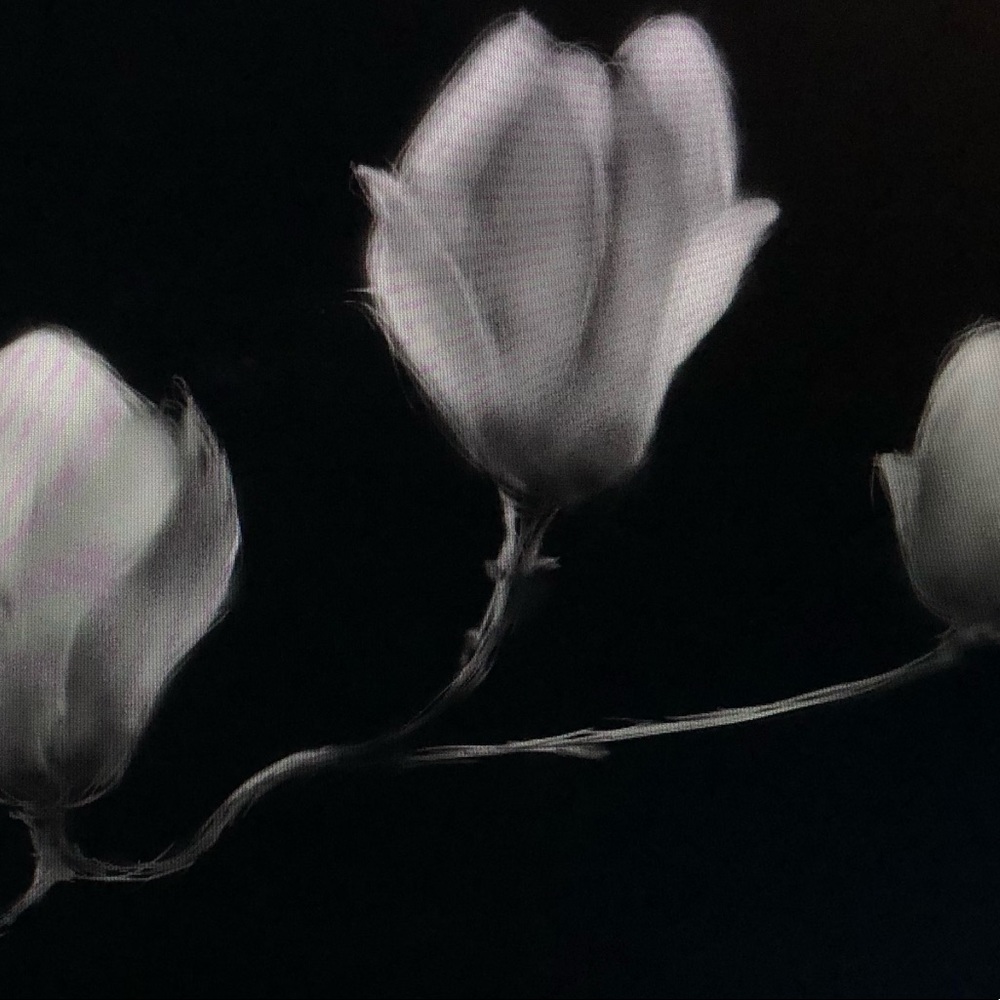 Meet your Posher, Fenia